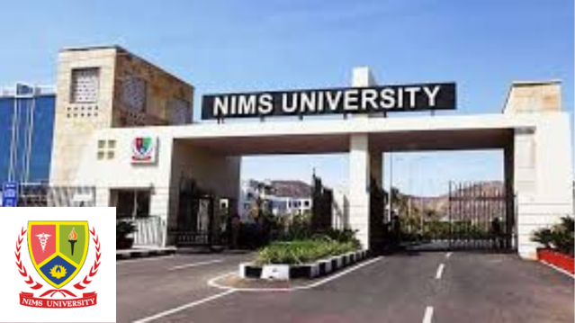 NIMS University