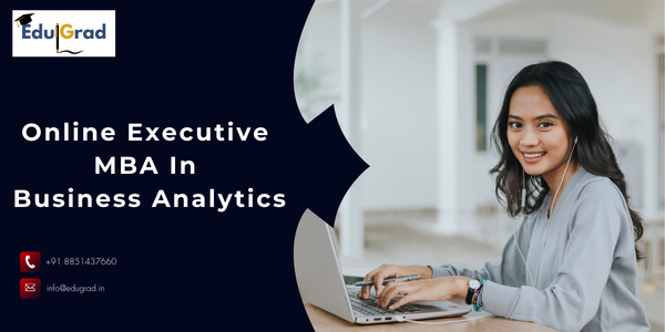 Online Executive MBA in Business Analytics
