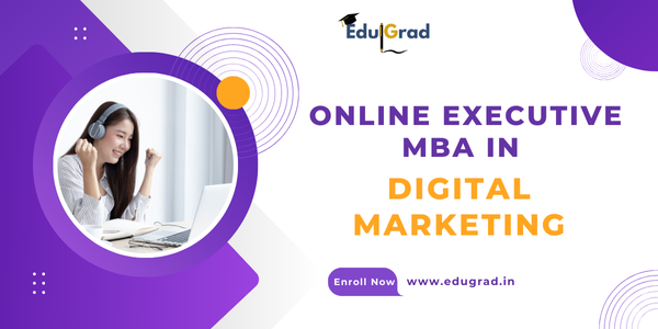 Online Executive MBa in Digital Marketing