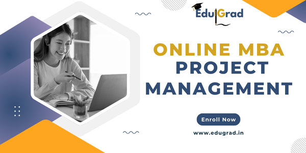 Online MBA in Project Management