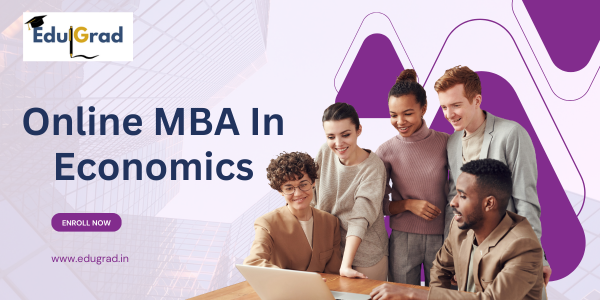 Online MBa in Economics