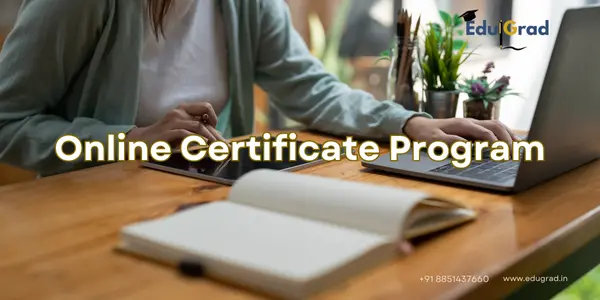 Online Certificates Program