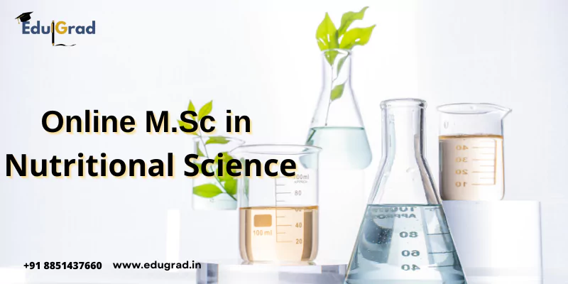 Online MSc in Nutritional Science