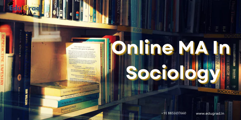 Online Ma in Socialogy