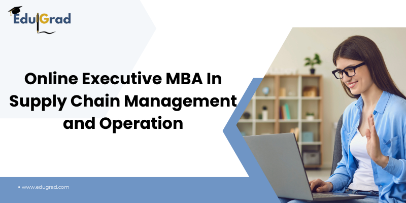 Online Executive MBA In Supply Chain Management and Operations